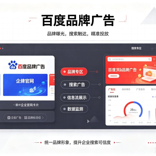 瑞丽百度品牌广告